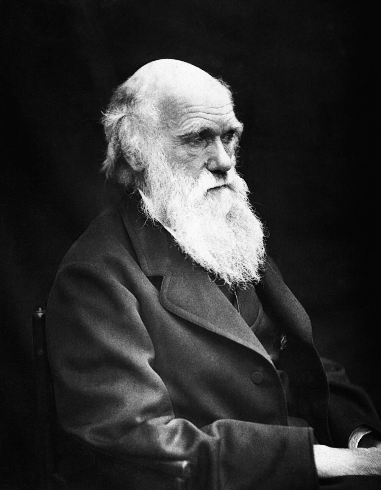 Fotografie von Charles Darwin mit weissem Bart